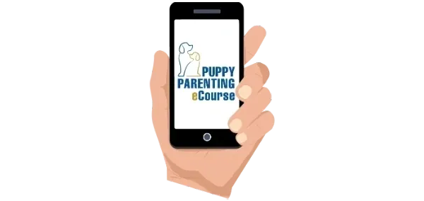 ezgif.com-webp-to-jpg copy