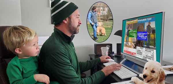 potty training puppy