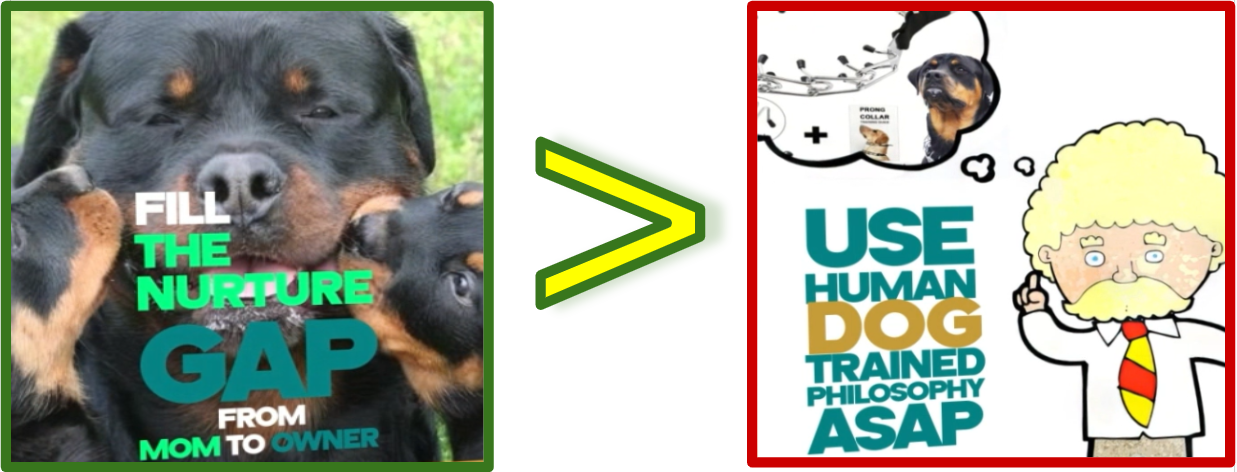 parenting greater than training