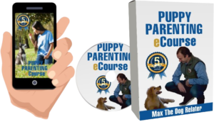 featured_ppec-removebg-preview