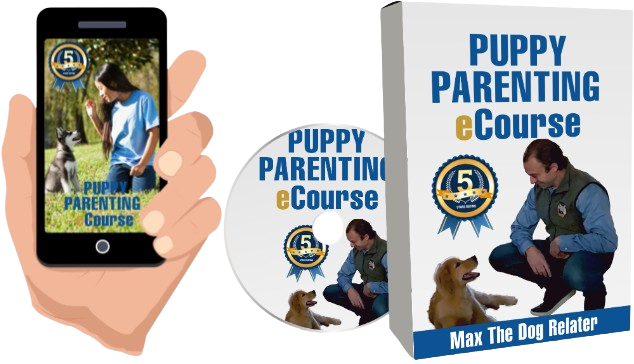 featured_ppec-removebg-preview