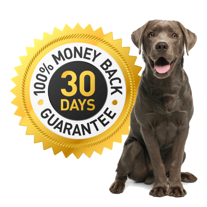 money-back-guarantee money-back-guarantee